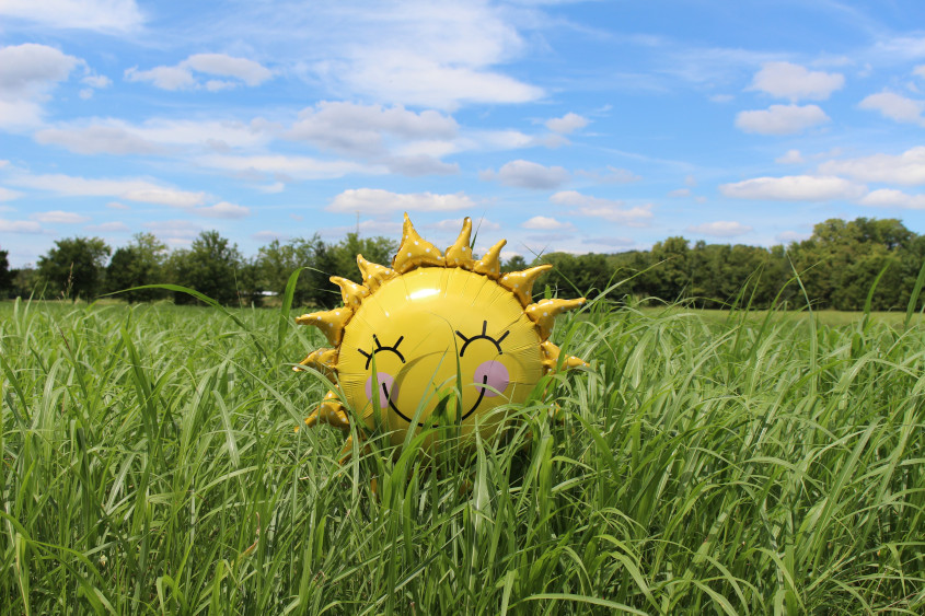 aptamil vitamin d sunshine balloon in field